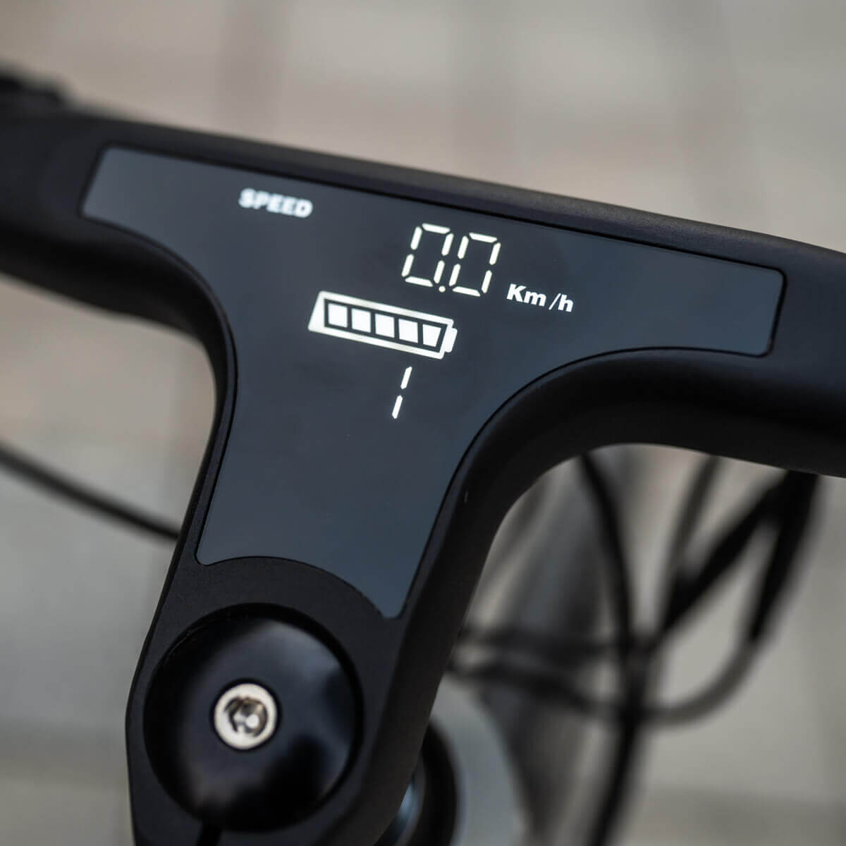 KAKUKA K70 e-bike is equipped with a multi-functional large LCD display that lets you customize your ride and check your speed, distance, ride assist, and battery level at a glance.